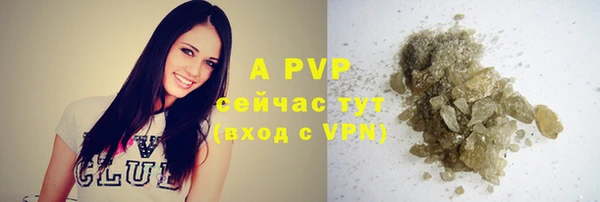 амф Абаза