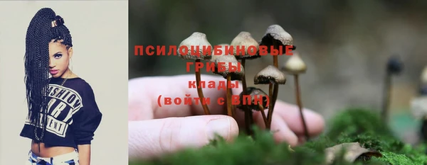 ALPHA-PVP Алексин