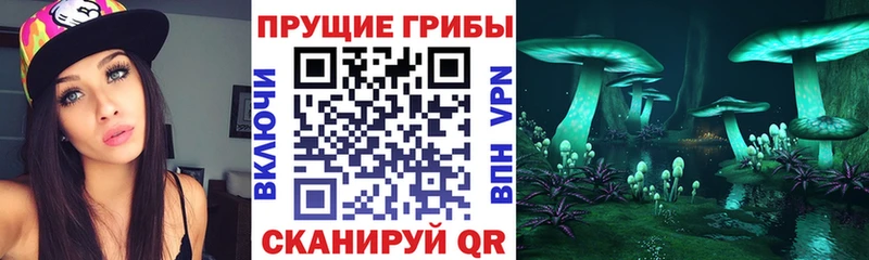 Псилоцибиновые грибы прущие грибы  МЕГА онион  Чердынь 