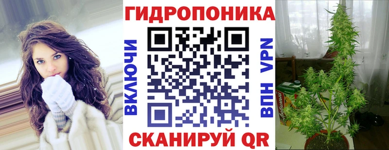 Бошки Шишки планчик  Чердынь 